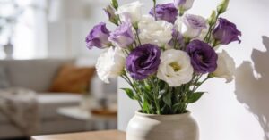 Eustoma wielkokwiatowa: jak o nią dbać, by kwitła w Twoim domu?
