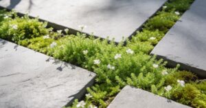 Karmnik ościsty uprawa: kompleksowy przewodnik po pielęgnacji rośliny